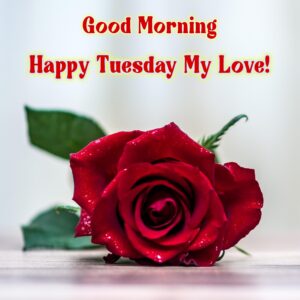 Good Morning Love Happy Tuesday